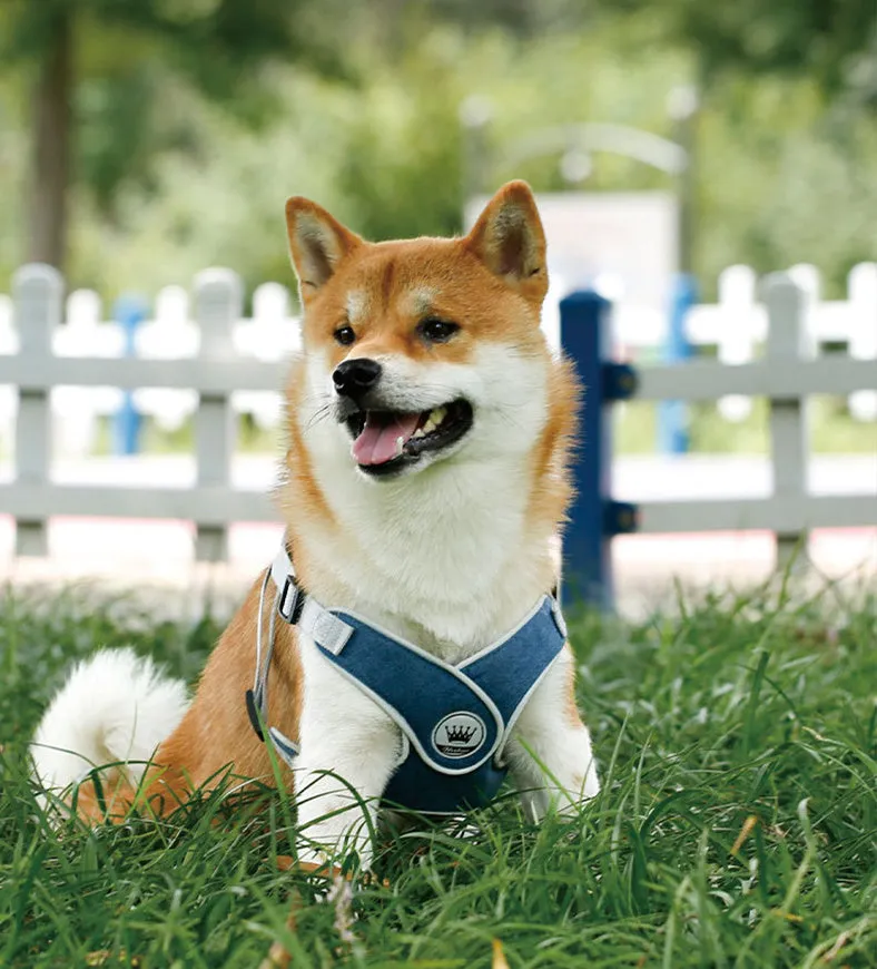 Adjustable mesh dog harness with reflective straps and metal back ring for leash attachment