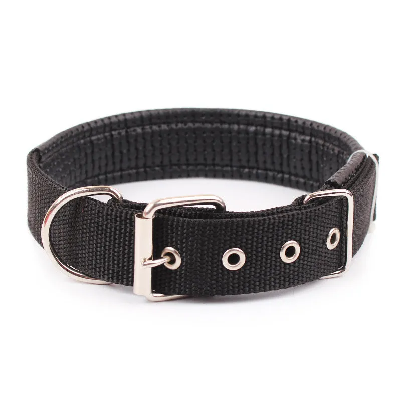 PP braid lined polypropylene PET foam dog collar in blue with nylon construction
