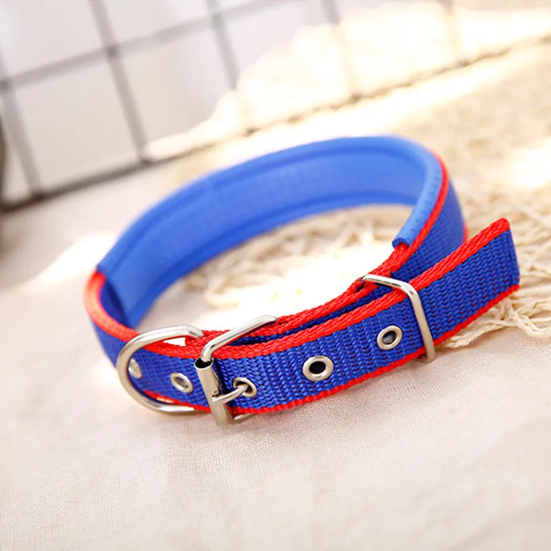 PP braid lined polypropylene PET foam dog collar in blue with nylon construction