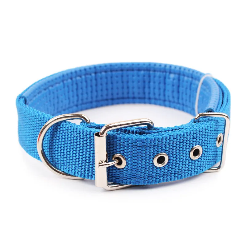 PP braid lined polypropylene PET foam dog collar in blue with nylon construction