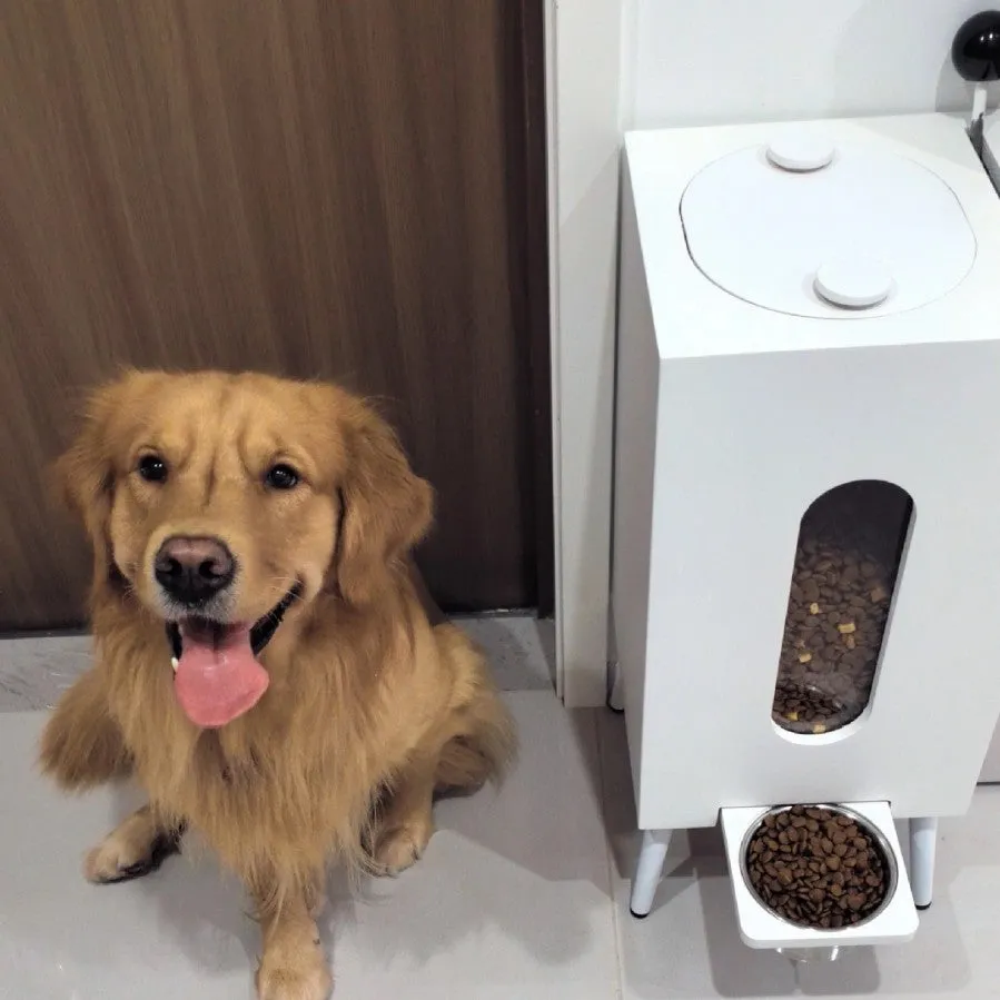 Wooden pet feeder with large bowl for dogs and cats, high legs 20cm, available in black