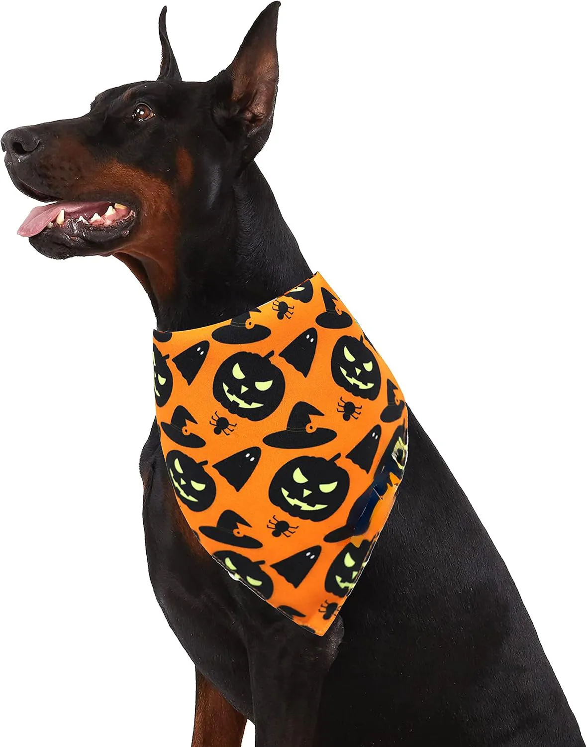 Reversible Halloween dog bandana showing pumpkin design on one side and spider web pattern on the other