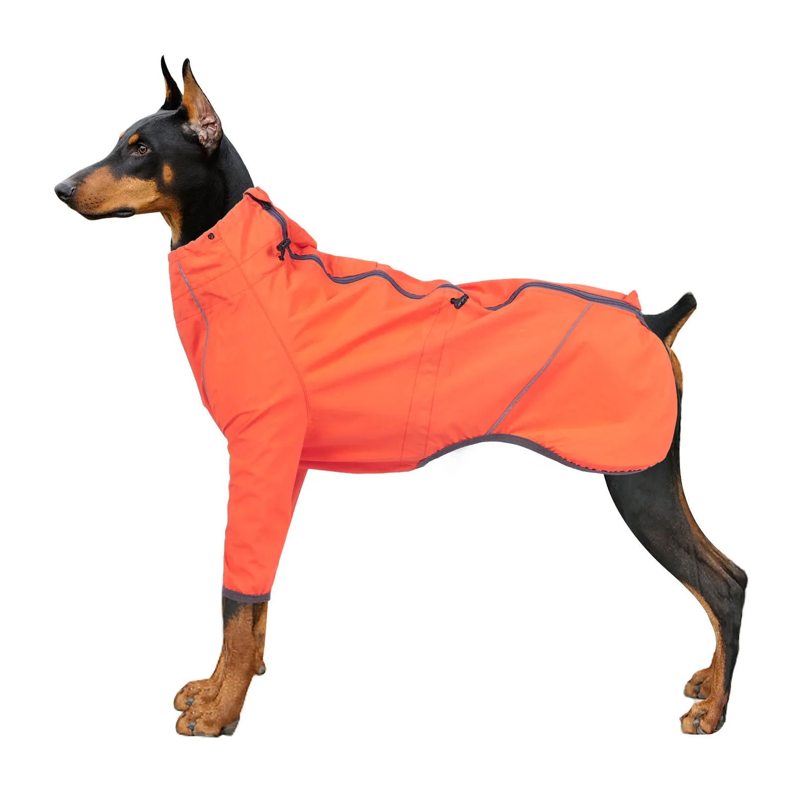 Dog wearing a military green acrylic raincoat with reflective trim and traction hole for lead attachment