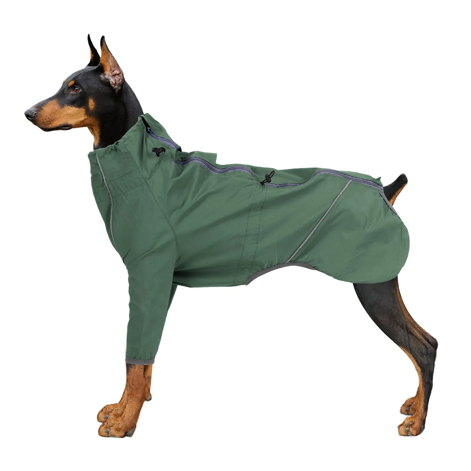 Dog wearing a military green acrylic raincoat with reflective trim and traction hole for lead attachment