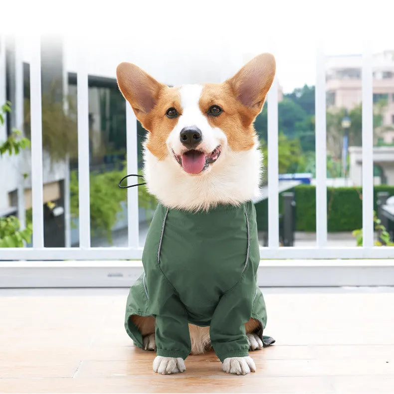 Dog wearing a military green acrylic raincoat with reflective trim and traction hole for lead attachment