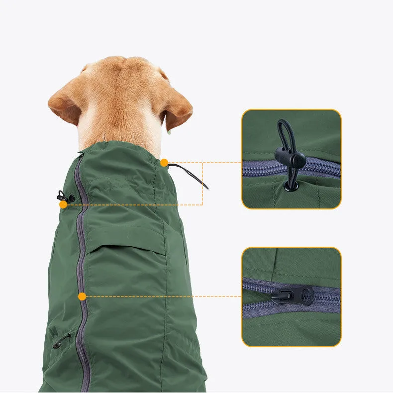 Dog wearing a military green acrylic raincoat with reflective trim and traction hole for lead attachment