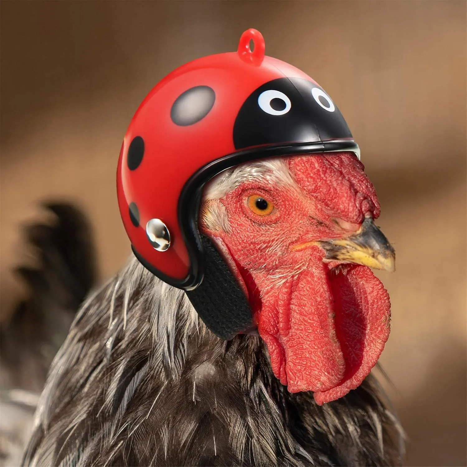 Adjustable PP plastic pet helmet for small chickens and birds with elastic bands and sponge lining