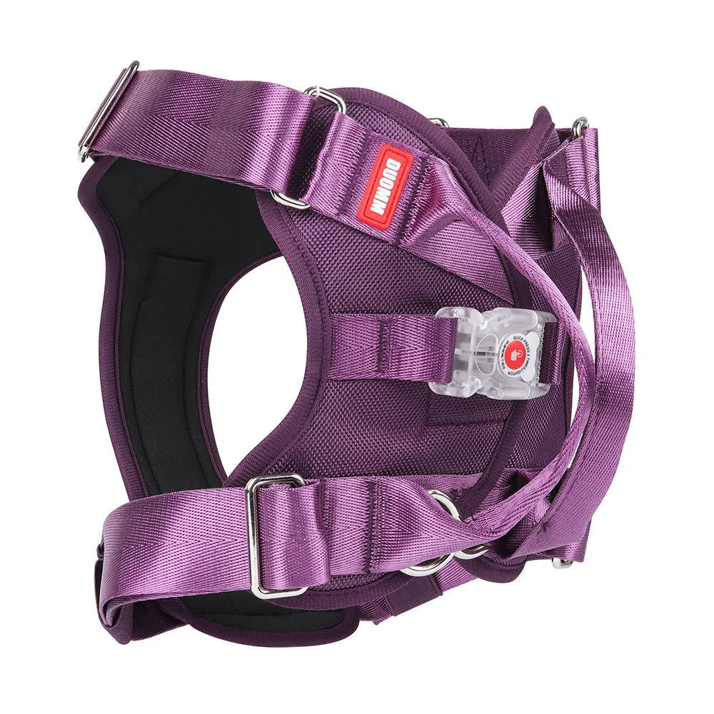 LED luminous chest strap explosion proof Oxford cloth black colour front view