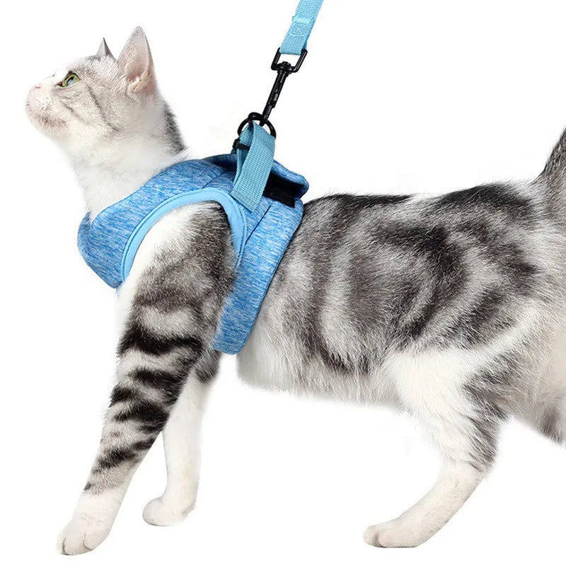 JIYUANPET cat leash lace rope breathable lightweight chest strap in sky blue for medium cats