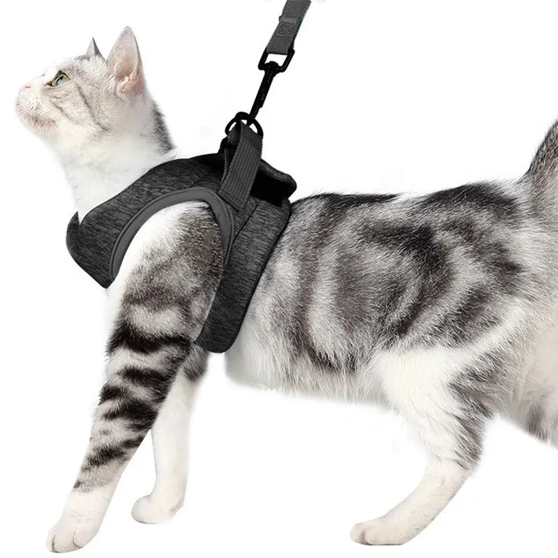 JIYUANPET cat leash lace rope breathable lightweight chest strap in sky blue for medium cats