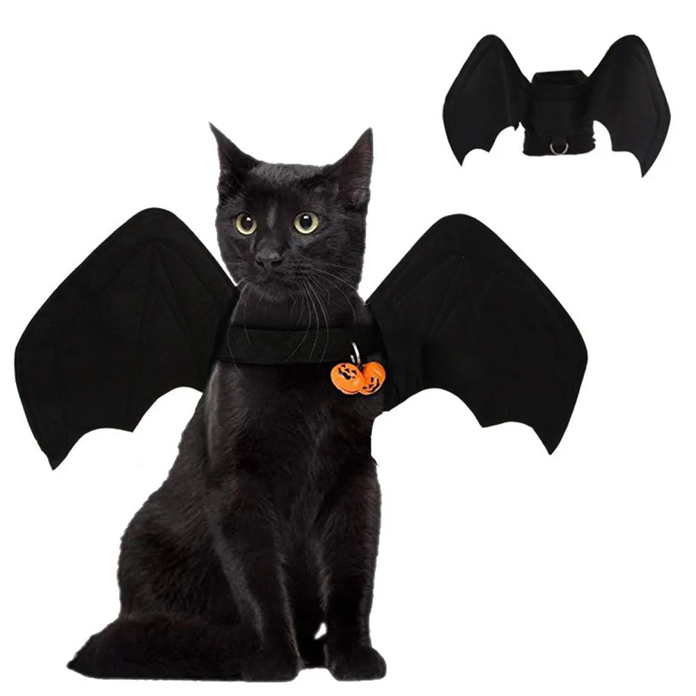 Black cloth bat wing pet costume on a dog or cat with 3D foldable wings and bat bell