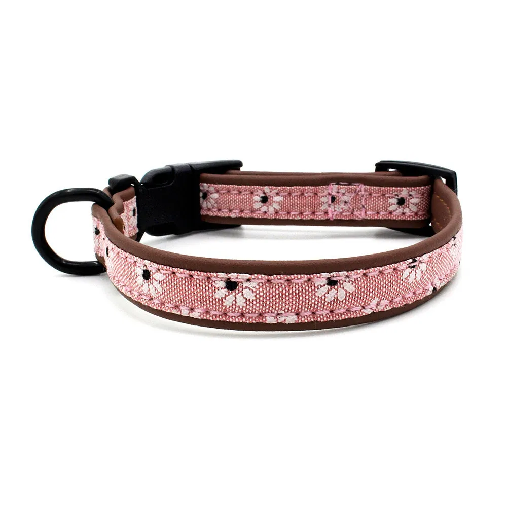Plastic buckle dog collar in light blue with adjustable nylon webbing on white background