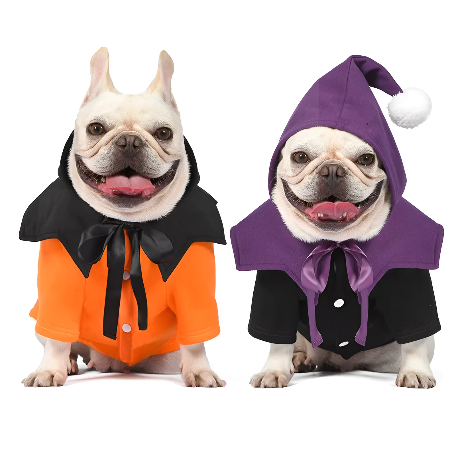 Black and orange two-piece Halloween dog costume with sweater and shawl