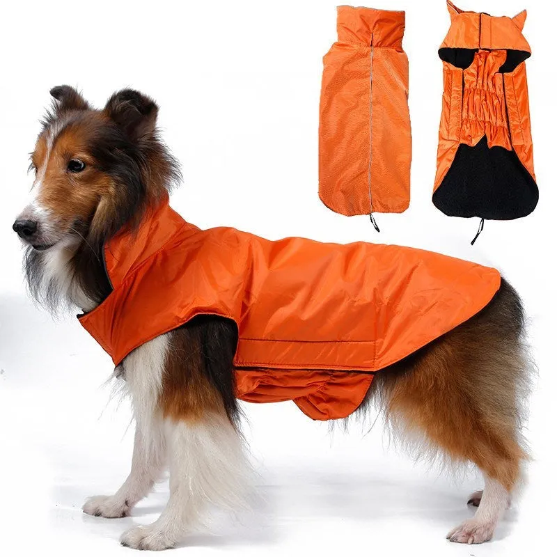 Waterproof dog vest in blue tarpaulin material on a dog outdoors in rain