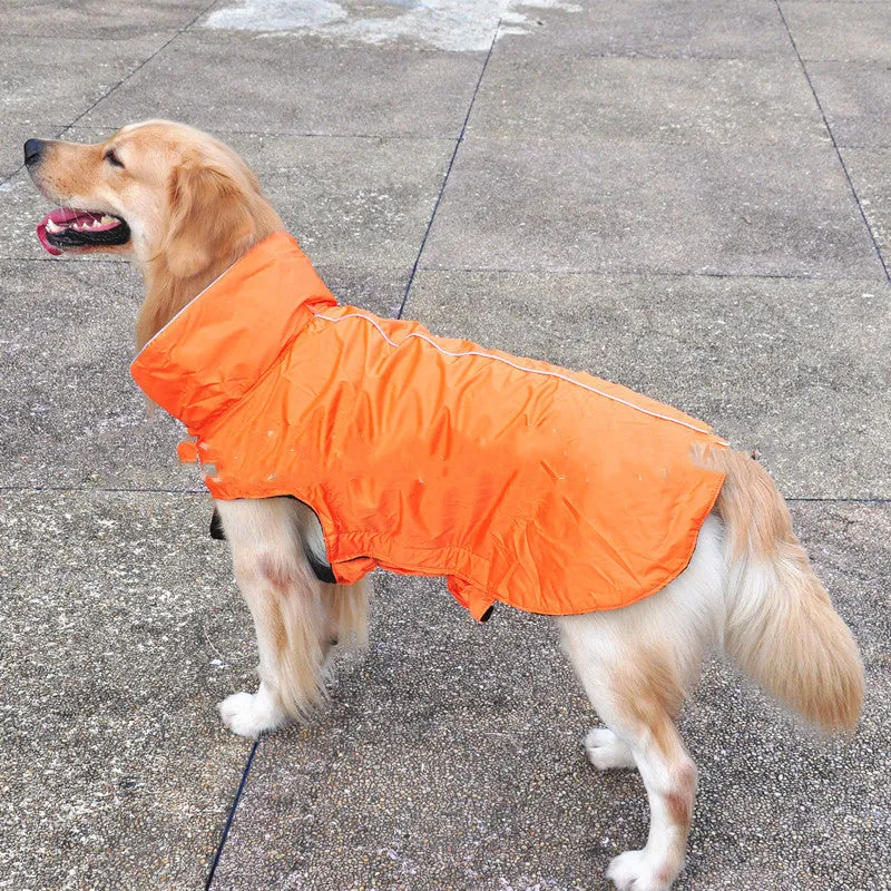 Waterproof dog vest in blue tarpaulin material on a dog outdoors in rain