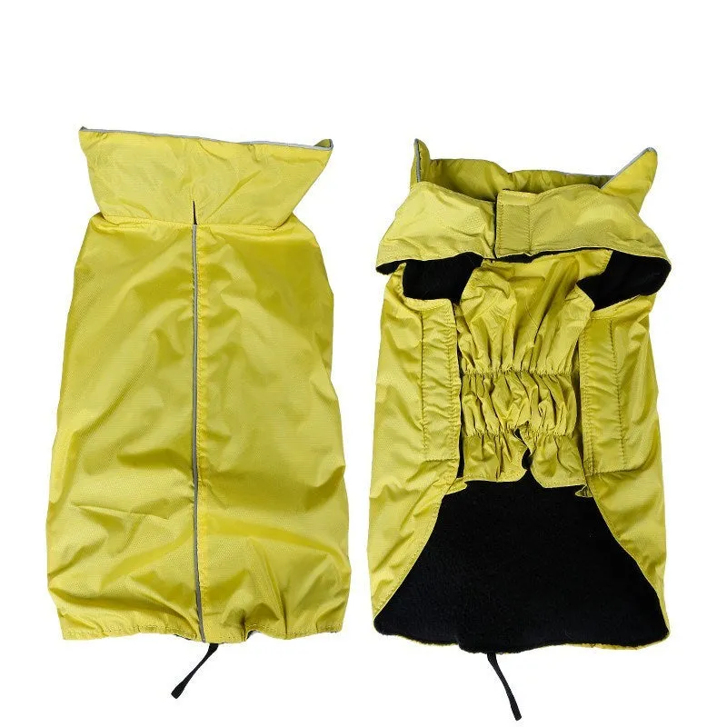 Waterproof dog vest in blue tarpaulin material on a dog outdoors in rain