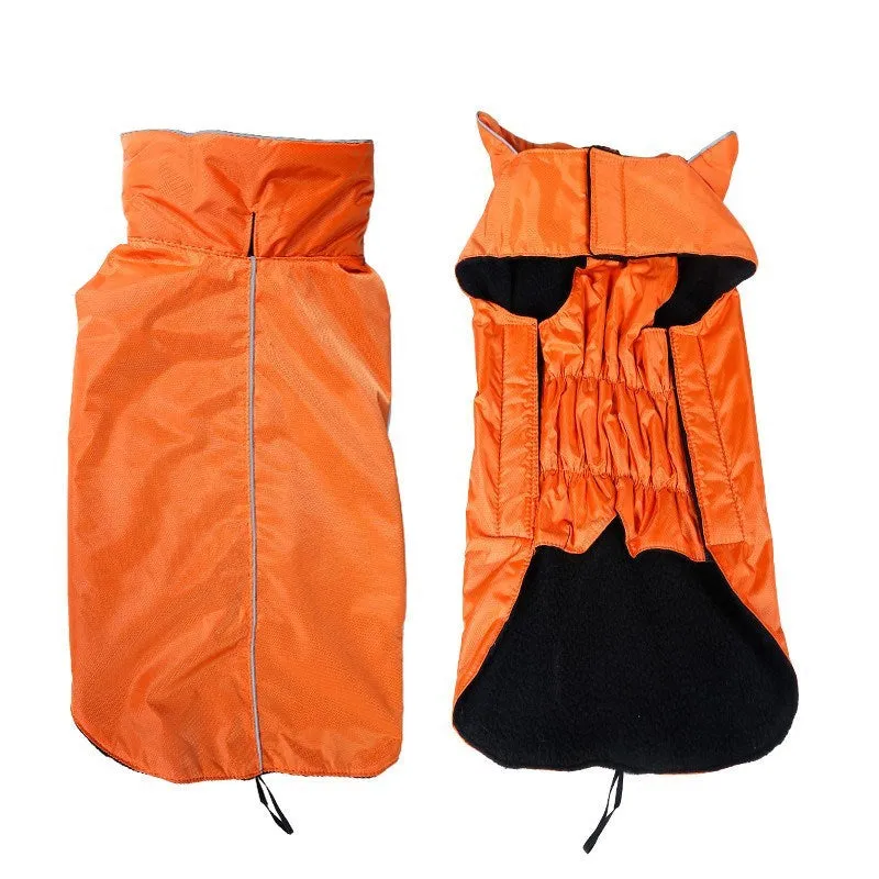 Waterproof dog vest in blue tarpaulin material on a dog outdoors in rain