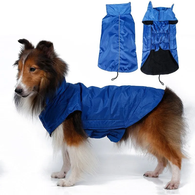 Waterproof dog vest in blue tarpaulin material on a dog outdoors in rain