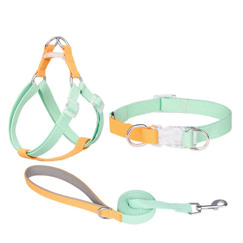 Polyester ribbon dog collar and leash set with adjustable collar and chest strap in five colour options