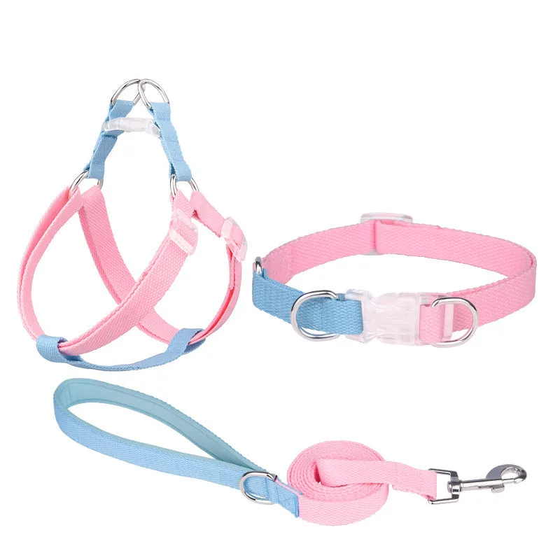 Polyester ribbon dog collar and leash set with adjustable collar and chest strap in five colour options