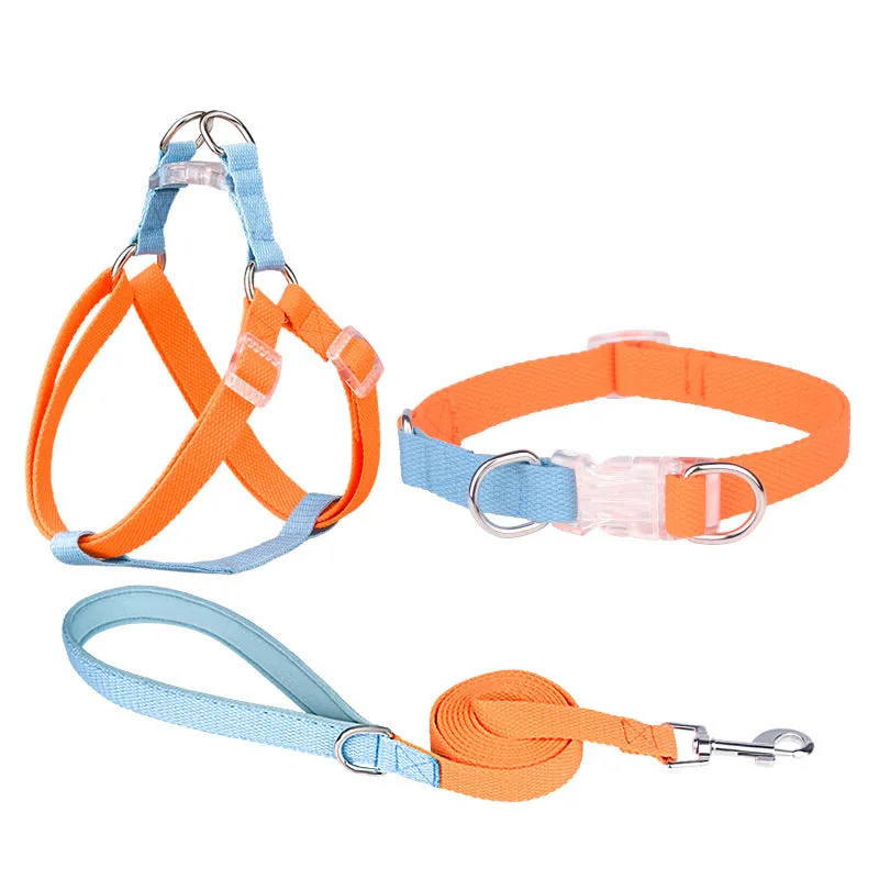 Polyester ribbon dog collar and leash set with adjustable collar and chest strap in five colour options
