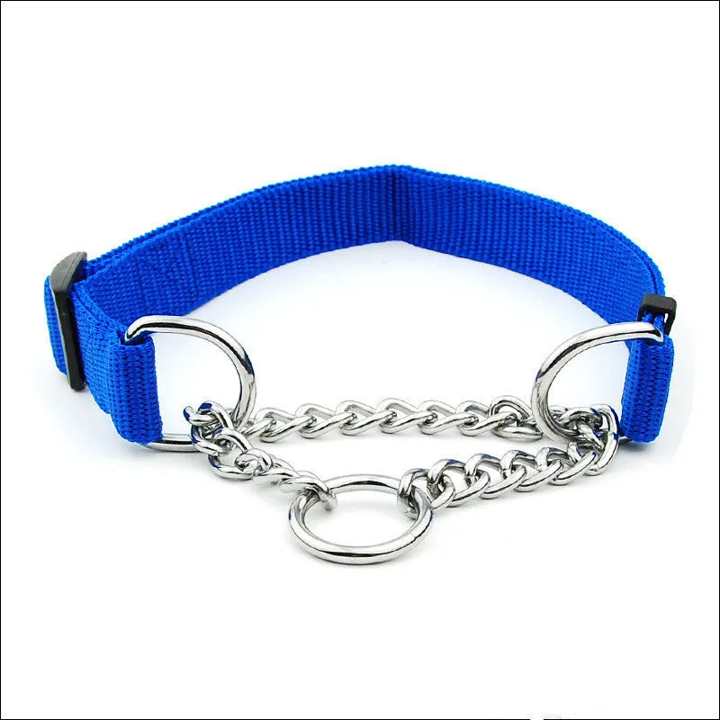 Large adjustable dog collar in blue with zinc alloy buckle, 2.5cm wide, polypropylene webbing
