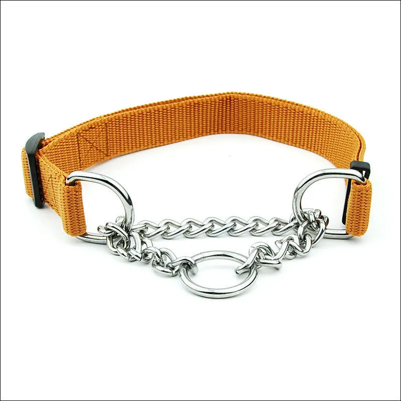 Large adjustable dog collar in blue with zinc alloy buckle, 2.5cm wide, polypropylene webbing