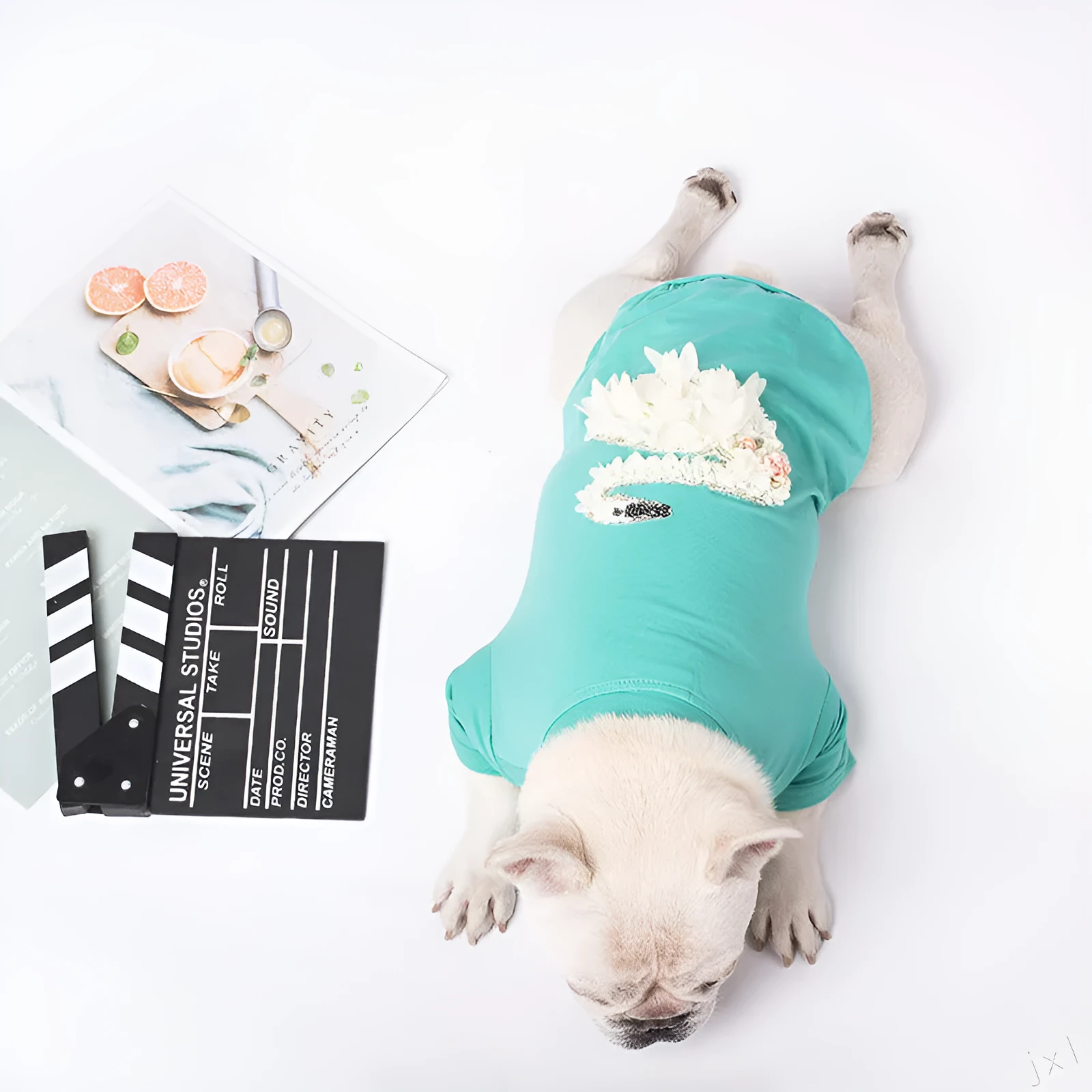 Cotton dog sweater in lake blue, British style knit jumper for small dogs