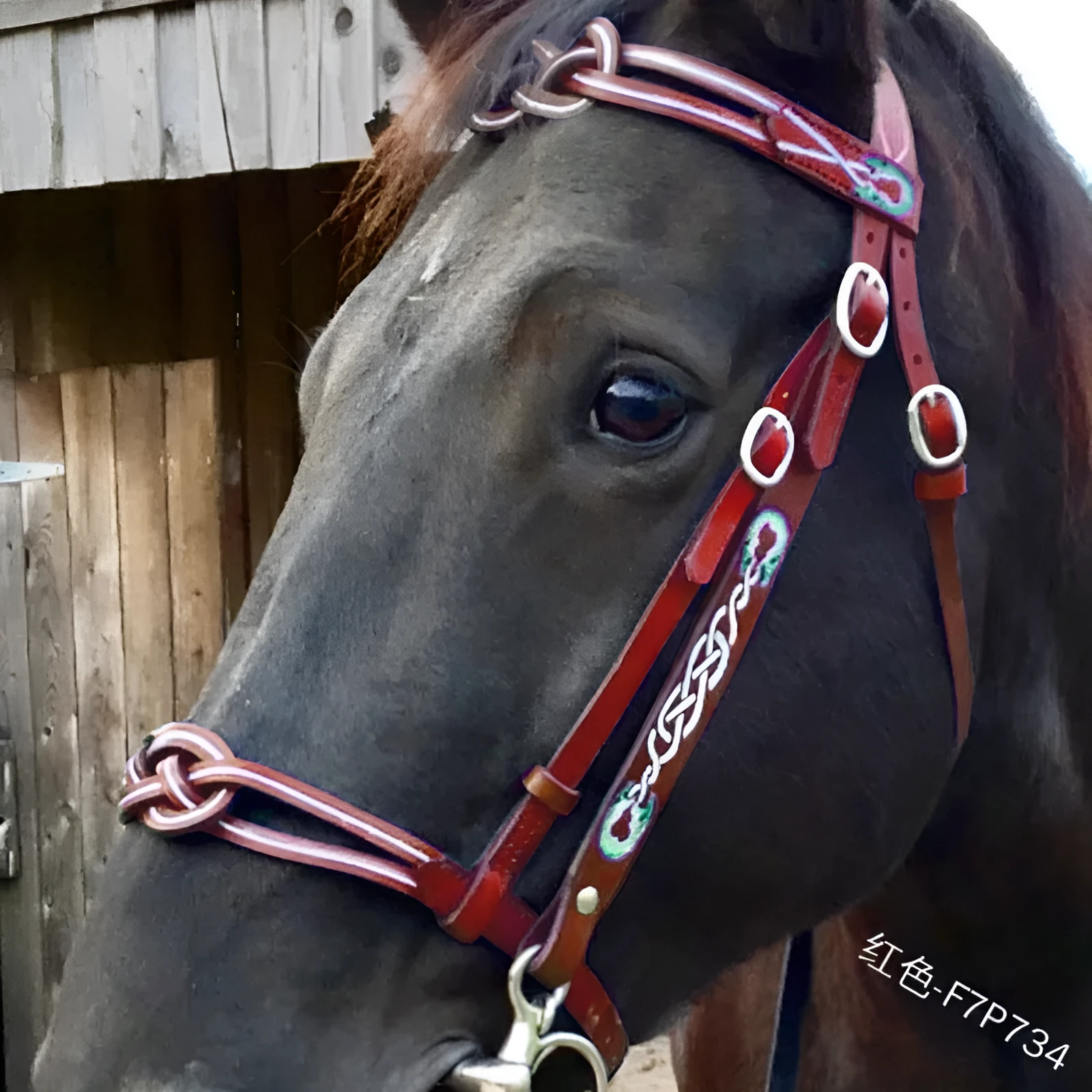 Black PU horse reins bridle M size for equestrian riding and outdoor cycling