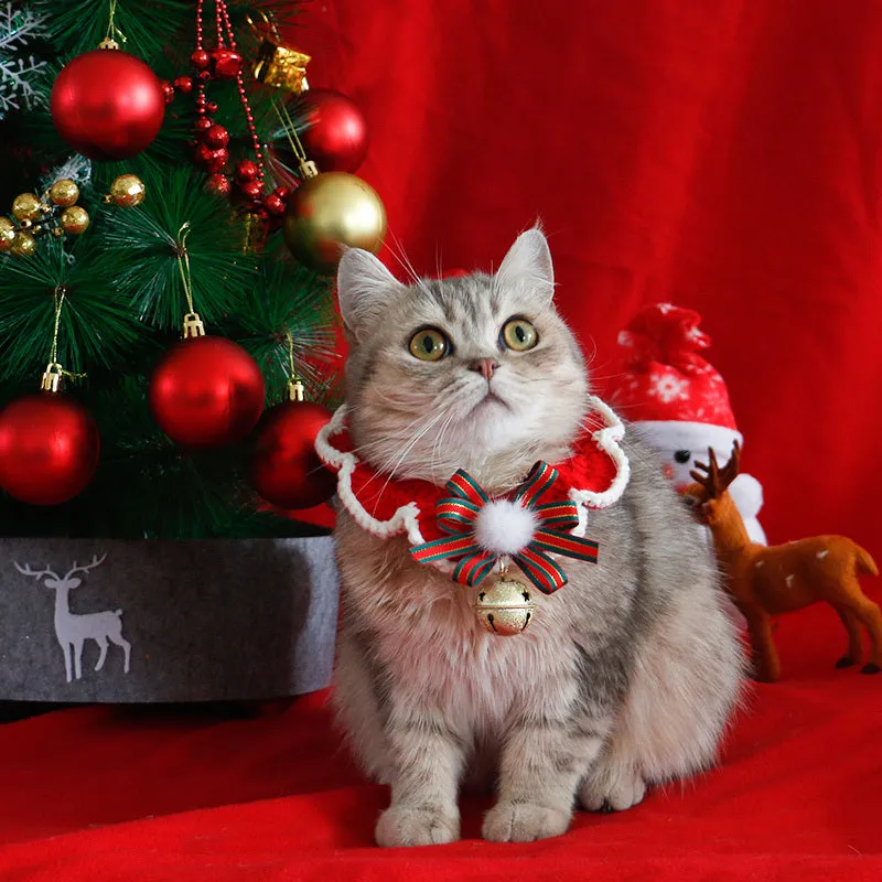 Teddy British short Christmas scarf dog bib with red lace and bells on a small dog