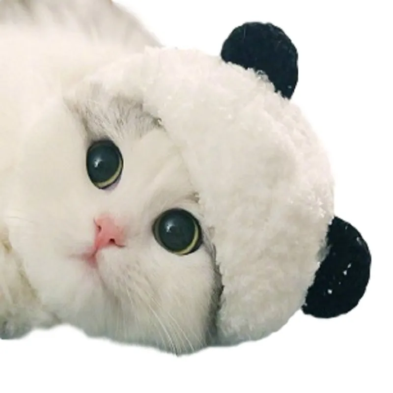 White wool panda costume pet hat with adjustable fit for cats and small dogs, sizes S M L XL