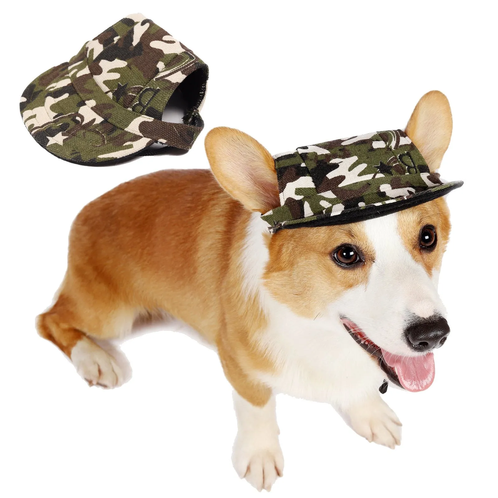 Dog wearing a baseball-style sun hat made of 63% cotton and 37% Terylene in a casual outdoor setting