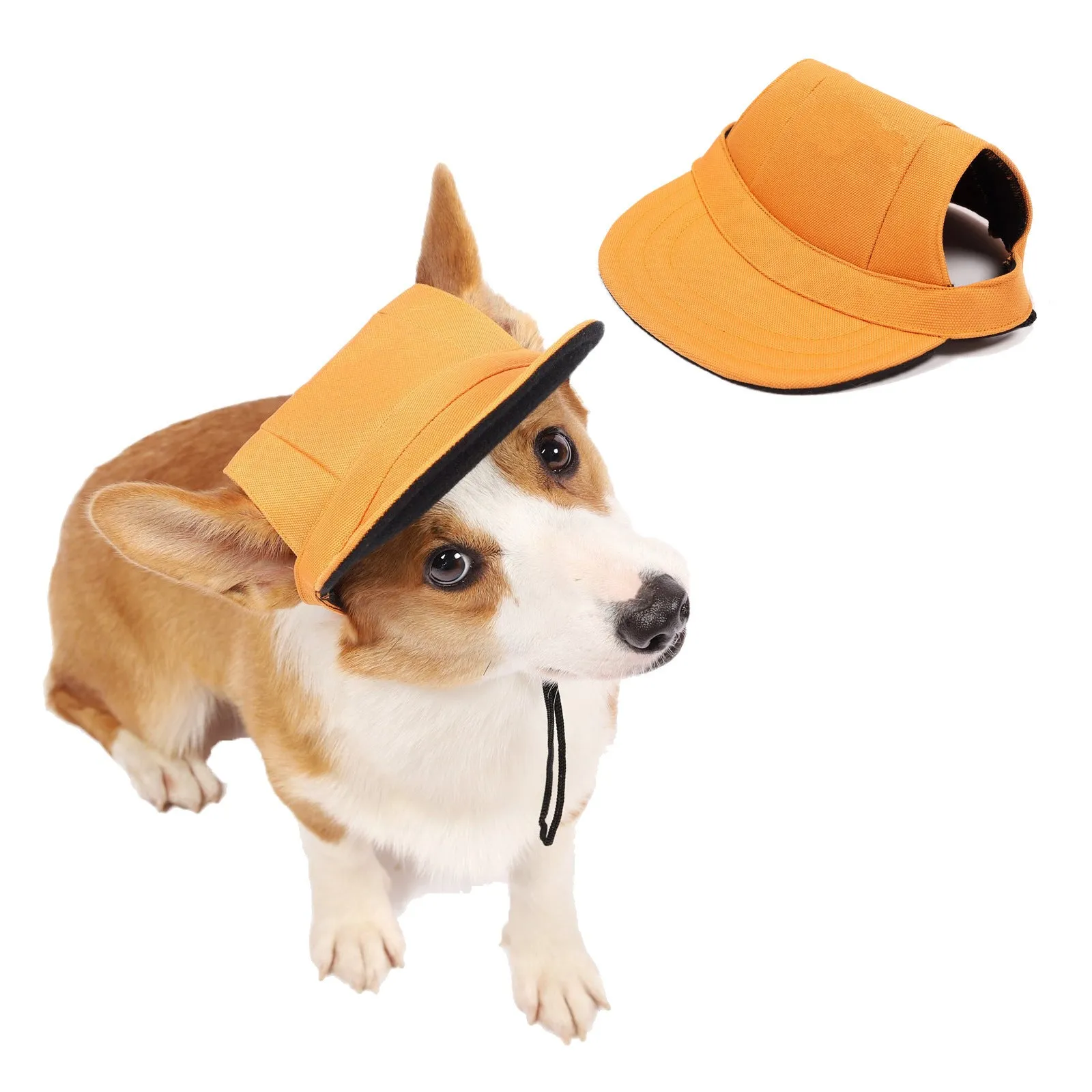Dog wearing a baseball-style sun hat made of 63% cotton and 37% Terylene in a casual outdoor setting