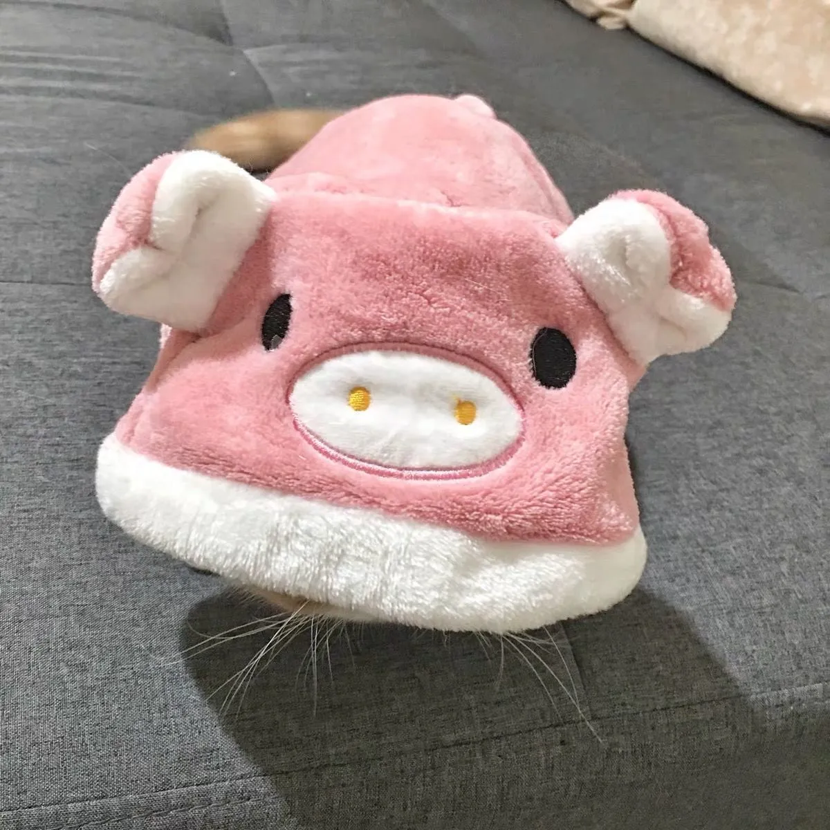 Blue cat British Shorthair wearing four-legged coral fleece pet clothing in cartoon style
