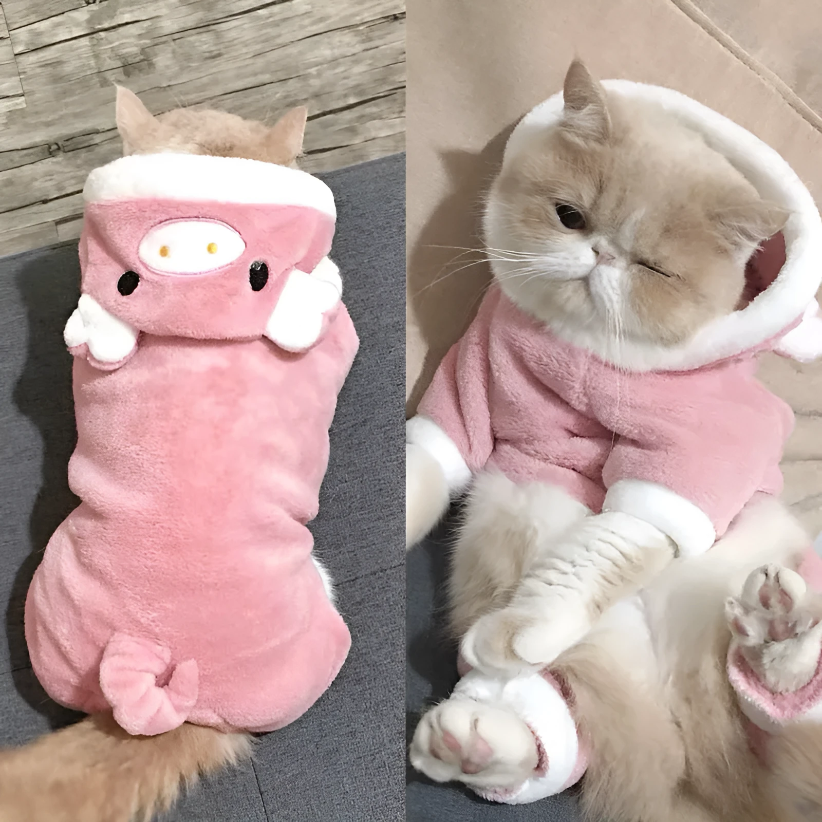 Blue cat British Shorthair wearing four-legged coral fleece pet clothing in cartoon style