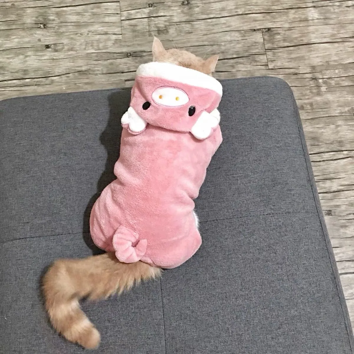Blue cat British Shorthair wearing four-legged coral fleece pet clothing in cartoon style