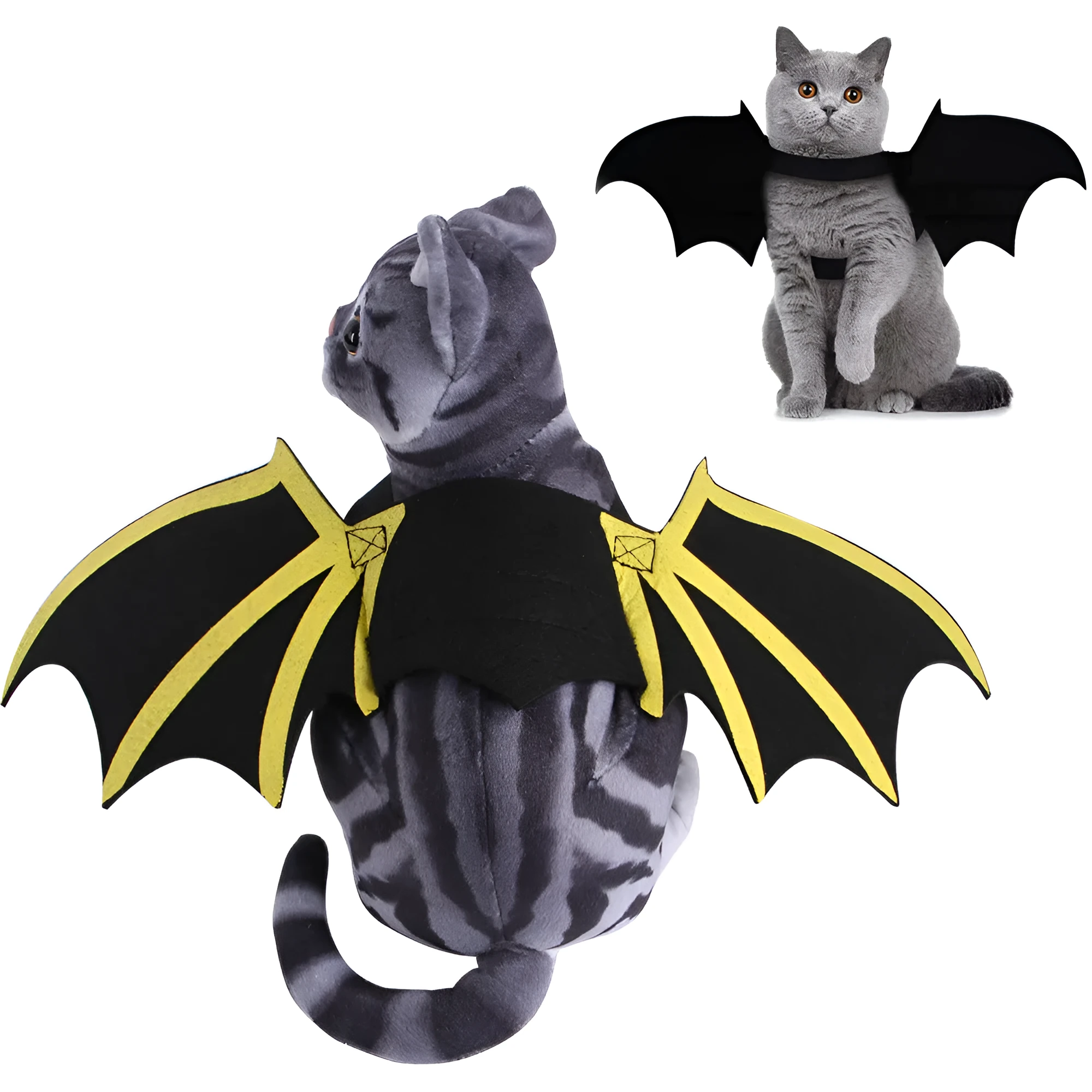 Blue dog wearing cloth costume with cat print bat wings and bell on grass