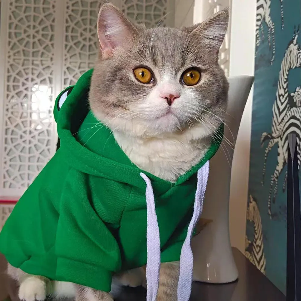 Green frog costume hoodie for small cat or dog with soft sweatshirt material