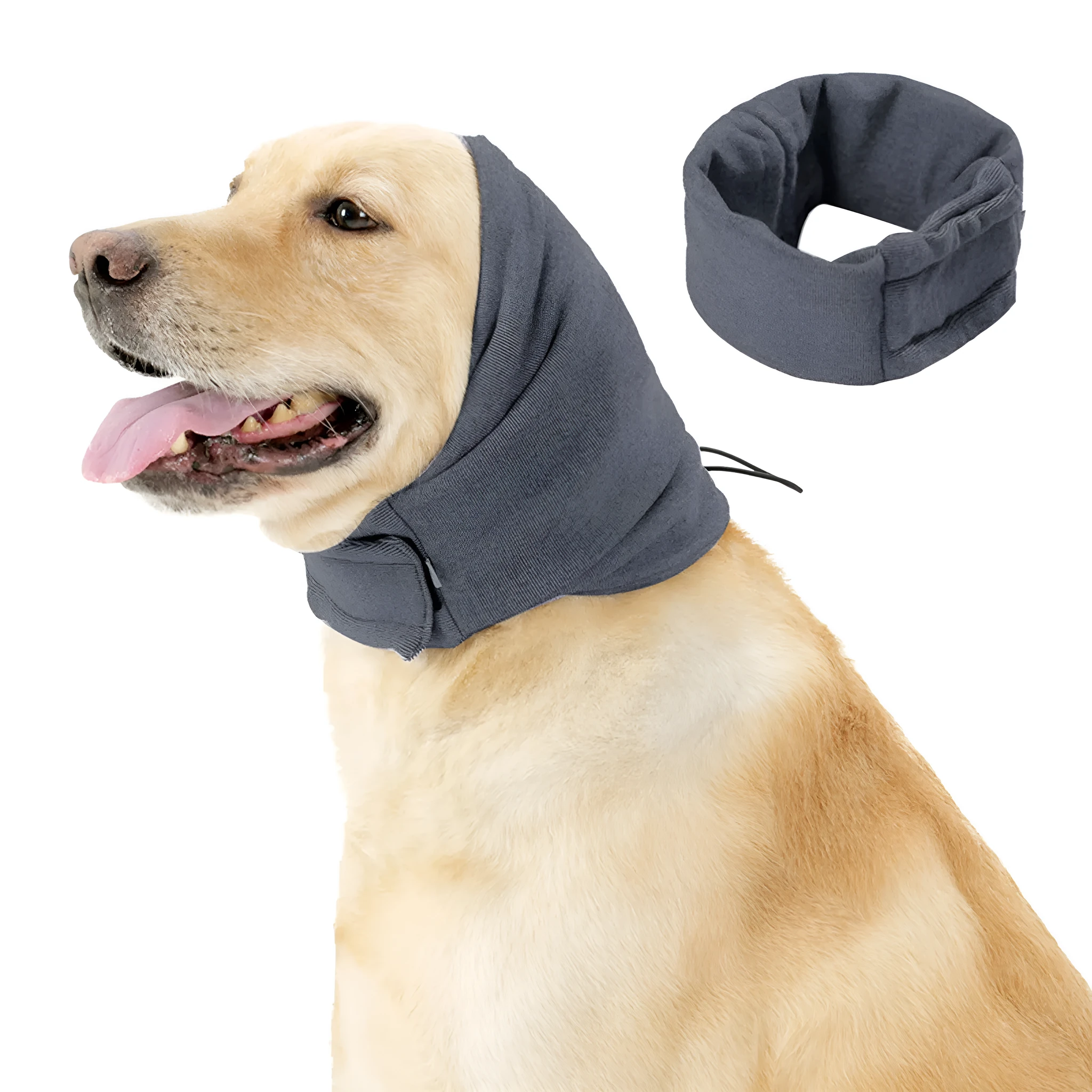 Dog wearing purple calming hoodie with ear muffs covering head and neck
