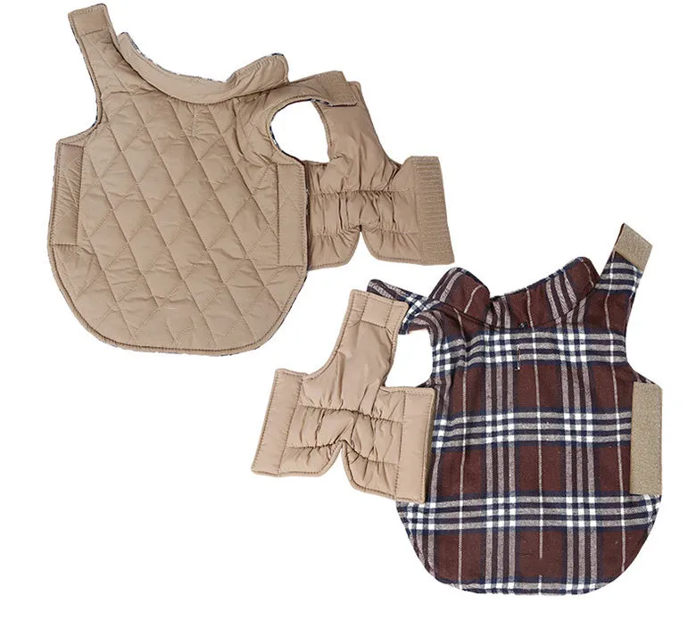 Waterproof reversible lattice pet dog suit jacket in beige on a dog standing outdoors