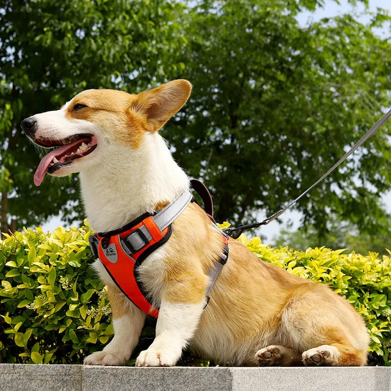 Polyester dog harness vest with hand-holding rope in multiple colour options