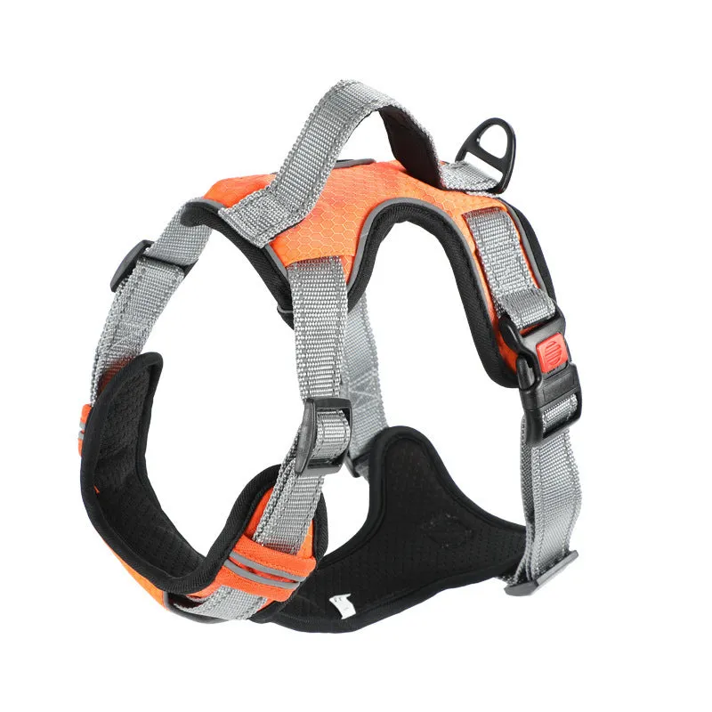 Polyester dog harness vest with hand-holding rope in multiple colour options