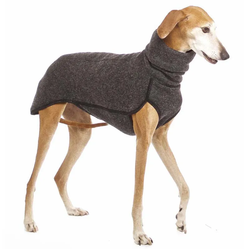 Winter dog coat in Army Green with high collar, two-legged design for medium large dogs like French Bulldogs