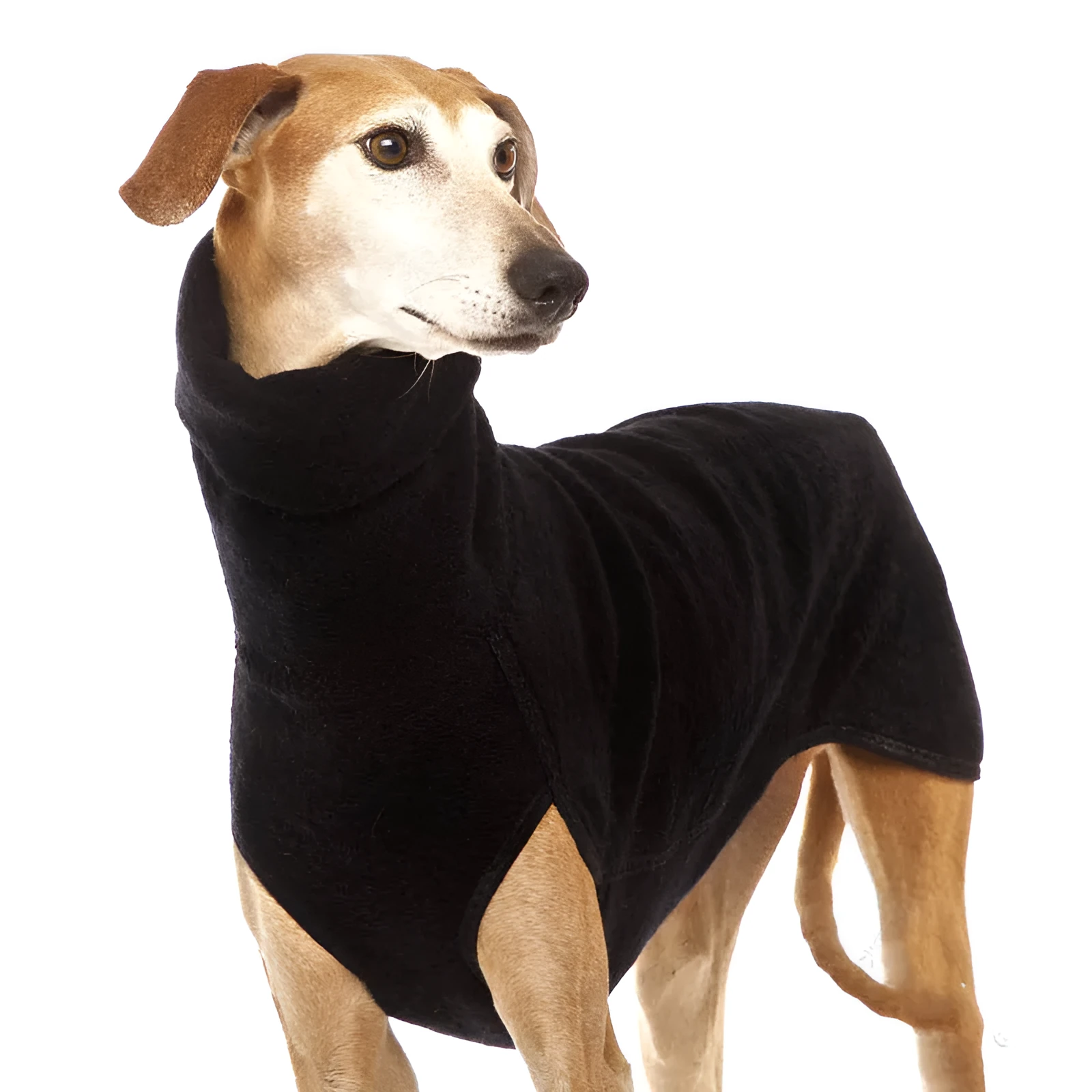 Winter dog coat in Army Green with high collar, two-legged design for medium large dogs like French Bulldogs