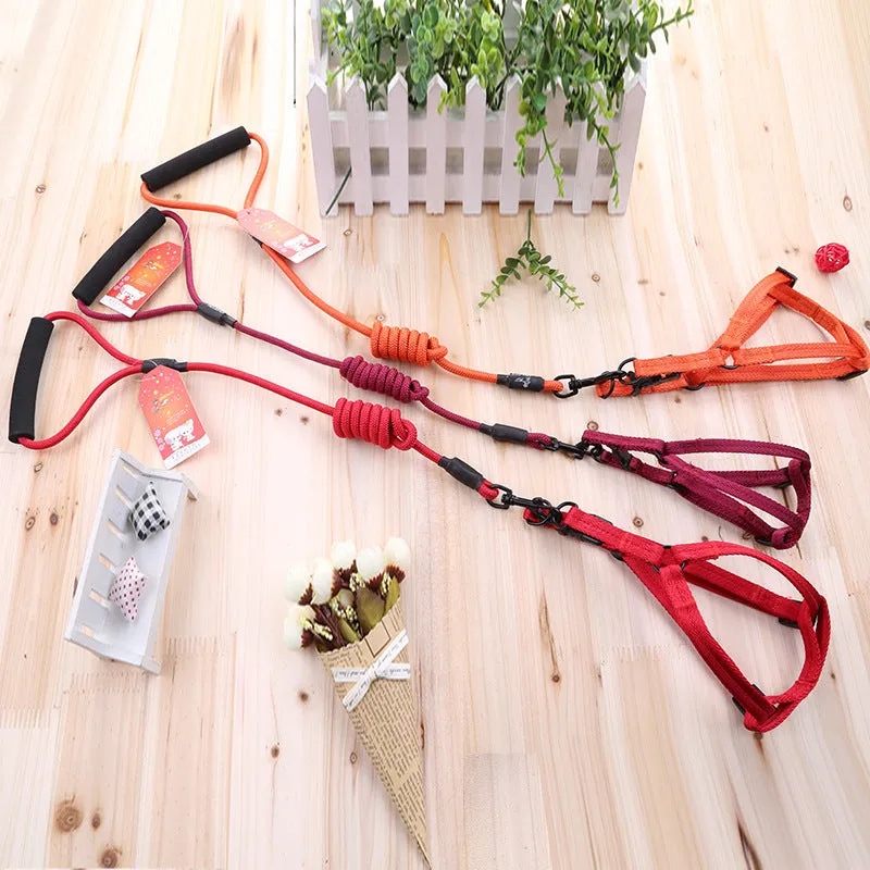 Scalable imitation nylon dog leash for small and medium dogs in multiple colours and sizes