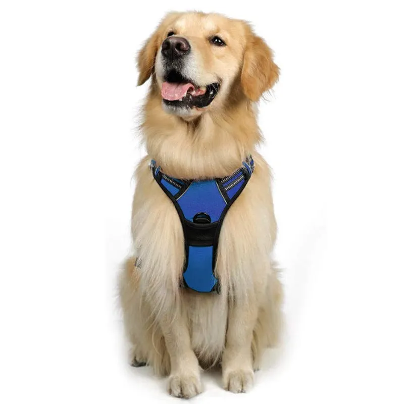 Adjustable nylon dog harness vest in blue, side view showing chest strap and buckle