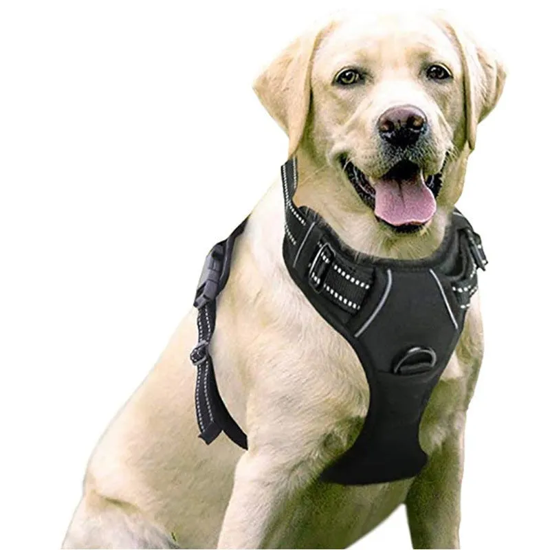 Adjustable nylon dog harness vest in blue, side view showing chest strap and buckle