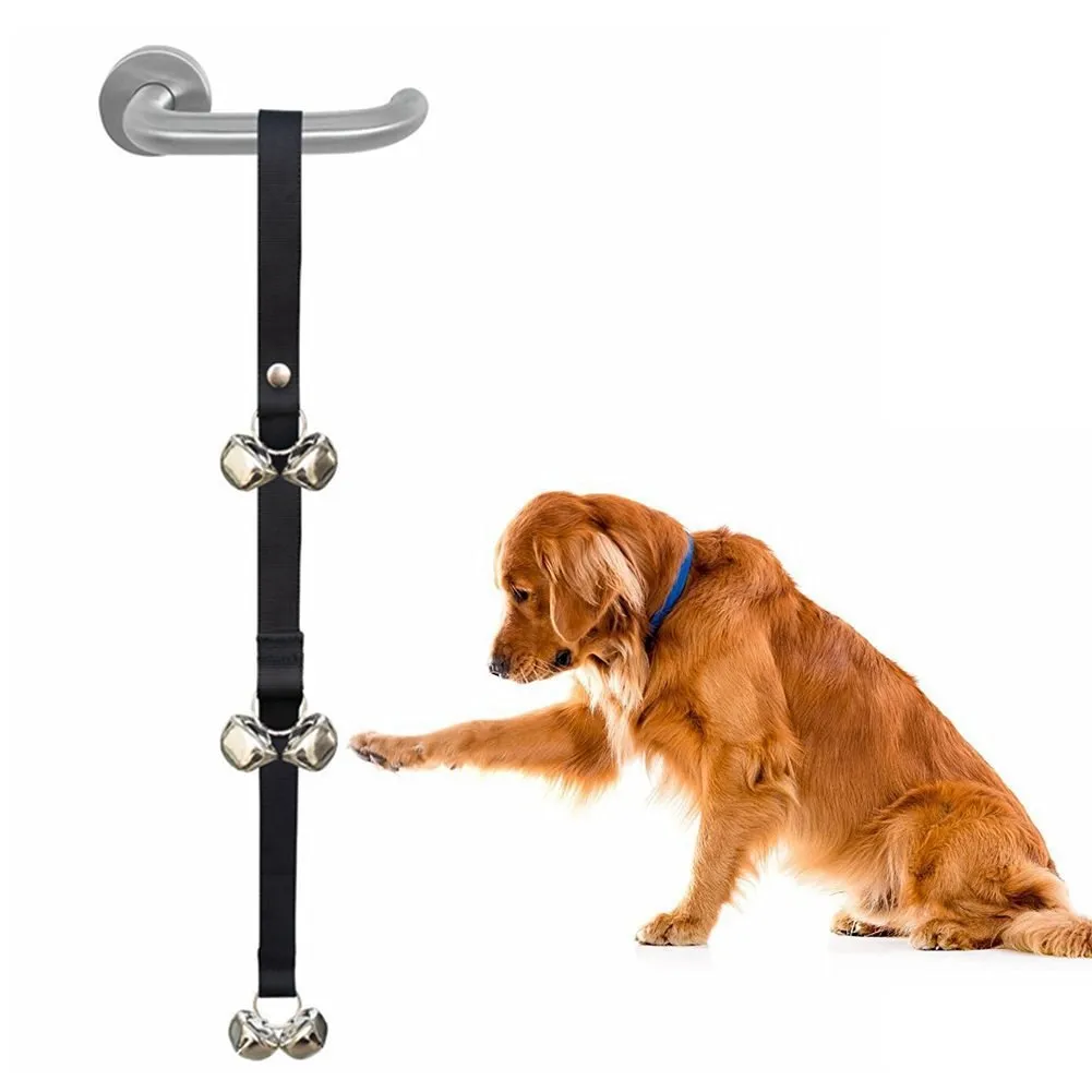 Seven large silver metal dog training bells hanging on an adjustable black nylon leash.