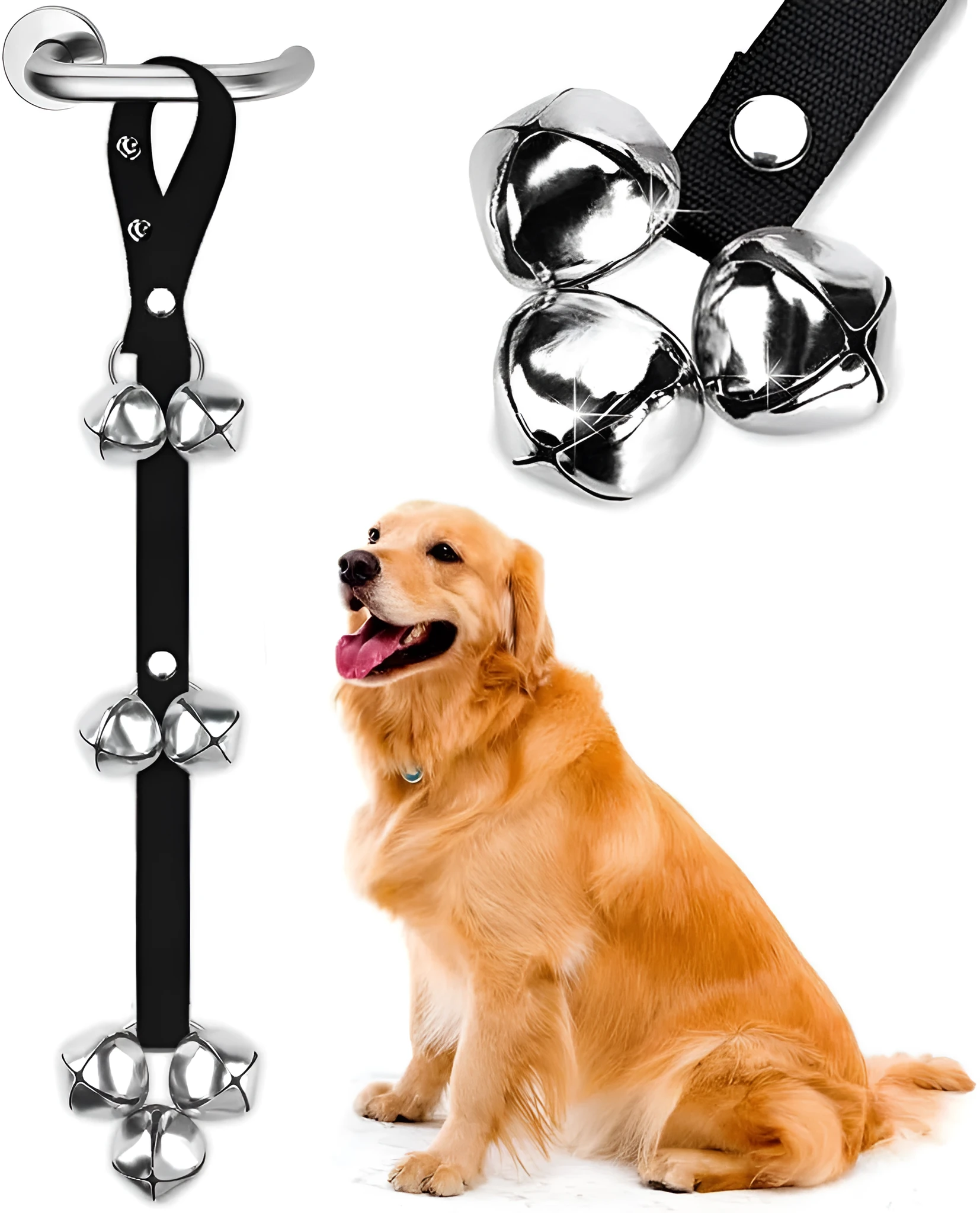Seven large silver metal dog training bells hanging on an adjustable black nylon leash.