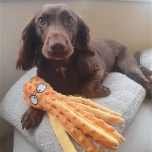 Blue octopus-shaped dog chew toy with crinkle paper and squeaker, no stuffing.